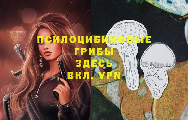 молекула духа Гусев