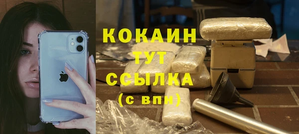молекула духа Гусев