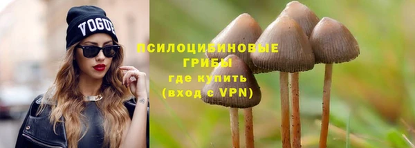 мдма Гусиноозёрск