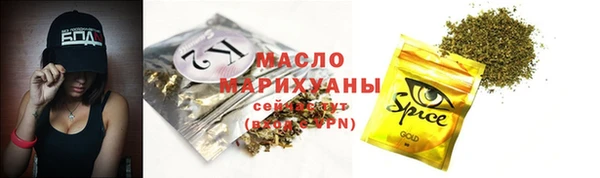 молекула духа Гусев