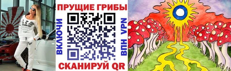 Купить где  Татарск  Псилоцибиновые грибы GOLDEN TEACHER 